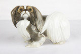 ���-������ "�������" - ���������� ��������� ������ ������ ������� �012119